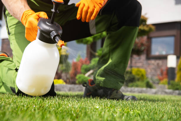 Best Pest Removal Services  in Daniel, UT
