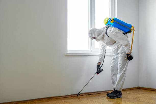 Professional Pest Control in Daniel, UT