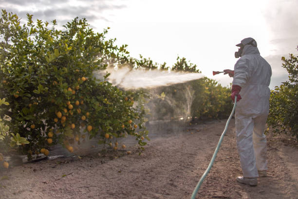 Best Emergency Pest Control  in Daniel, UT