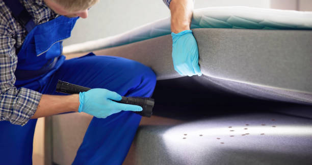 Best Exterminator Services  in Daniel, UT
