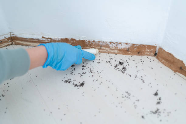 Best Best Pest Control Companies  in Daniel, UT